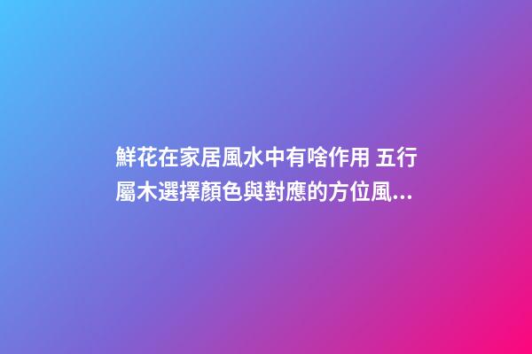 鮮花在家居風水中有啥作用 五行屬木選擇顏色與對應的方位風水有
